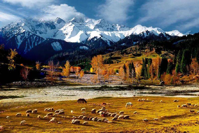 新疆的魅力与风情